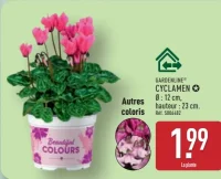 GARDENLINE® CYCLAMEN