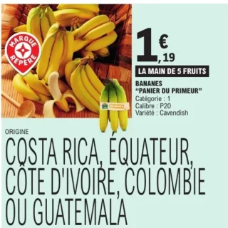 Bananes "Panier du Primeur"
