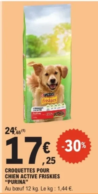 Croquettes pour chien active Friskies Purina