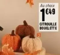 Citrouille bouclette Kokoon