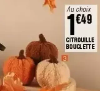 Citrouille bouclette Kokoon