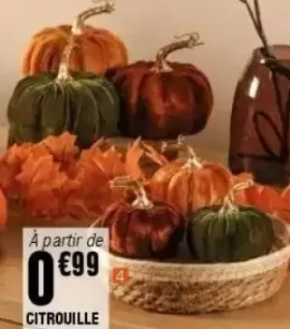 Citrouille en velours Kokoon