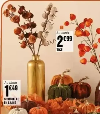 Tige décorative Kokoon (Physalis / Citrouille / Feuillage automne)