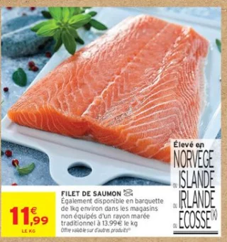 Filet de saumon