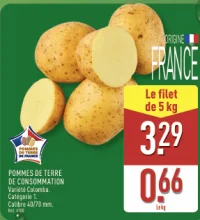 Pommes de terre de consommation Variété Colomba