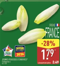 Jeunes pousses d'endives