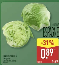 Laitue iceberg