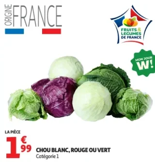 Chou blanc, rouge ou vert