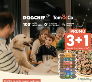 DOGCHEF Repas frais au choix