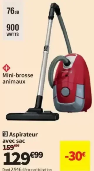 Aspirateur avec sac Rowenta RO3164EA