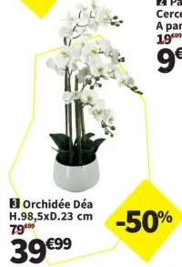 Orchidée Déa H.98,5xD.23 cm