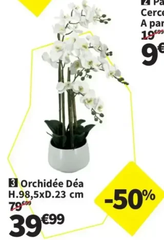 Orchidée Déa H.98,5xD.23 cm
