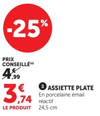 Assiette plate en porcelaine émail réactif 24,5 cm