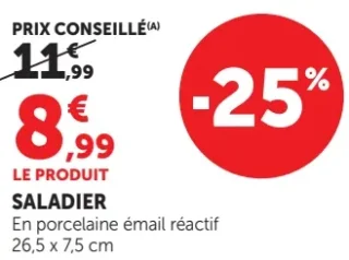 Saladier en porcelaine émail réactif 26,5 x 7,5 cm