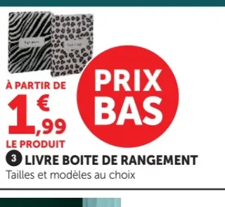 Livre boîte de rangement