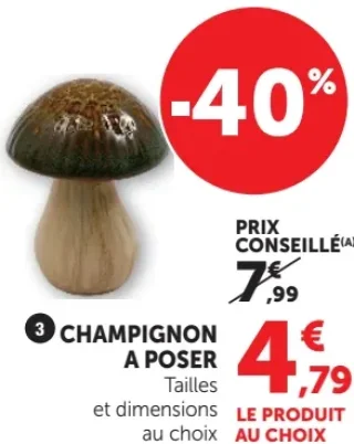 Champignon à poser