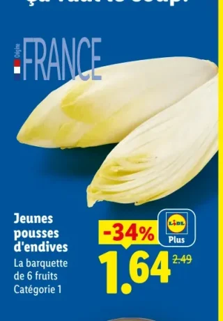 Jeunes pousses d'endives