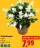 Promo Schlumbergera