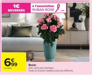 Rosier avec cache pot céramique