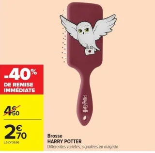 Brosse HARRY POTTER