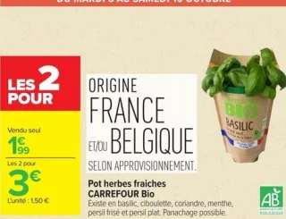 Pot herbes fraîches CARREFOUR Bio