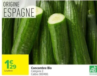 Concombre Bio