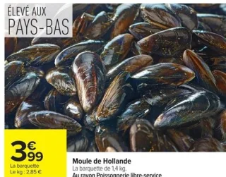Moule de Hollande
