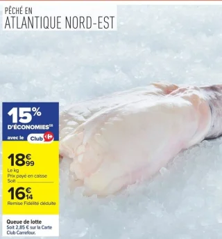 Queue de lotte
