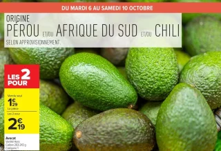 Avocat