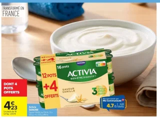 Activia DANONE Saveur Vanille ou Citron