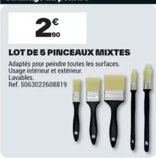 Lot de 5 pinceaux mixtes