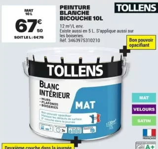 Peinture blanche bicouche 10L Tollens Mat
