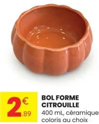 Bol forme citrouille