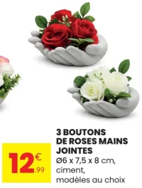 3 boutons de roses mains jointes