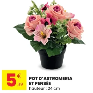Pot d'astromeria et pensée