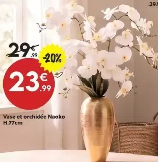 Vase et orchidée Naoko