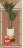 Promo Agave Nyer H.96cm