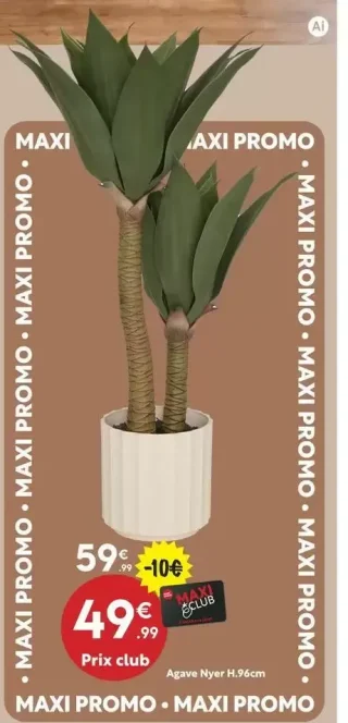 Agave Nyer H.96cm