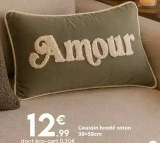 Coussin brodé coton 38x58cm