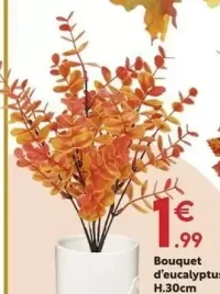 Bouquet d'eucalyptus H.30cm