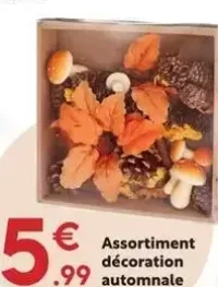 Assortiment décoration automnale