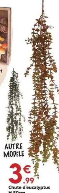 Chute d'eucalyptus H.80cm