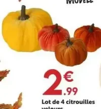 Lot de 4 citrouilles velours
