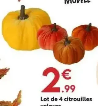 Lot de 4 citrouilles velours