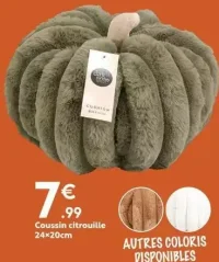 Coussin citrouille 24x20cm