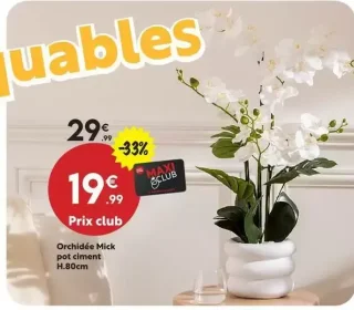 Orchidée Mick pot ciment H.80cm
