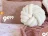Promo Coussin SWAY - 40x60 cm COCOON COLLECTION