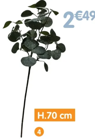 Tige eucalyptus - H.70 cm