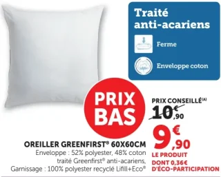 OREILLER GREENFIRST® 60X60CM