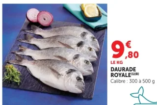 DAURADE ROYALE